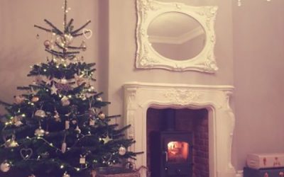 Style and substance provided by the stove room